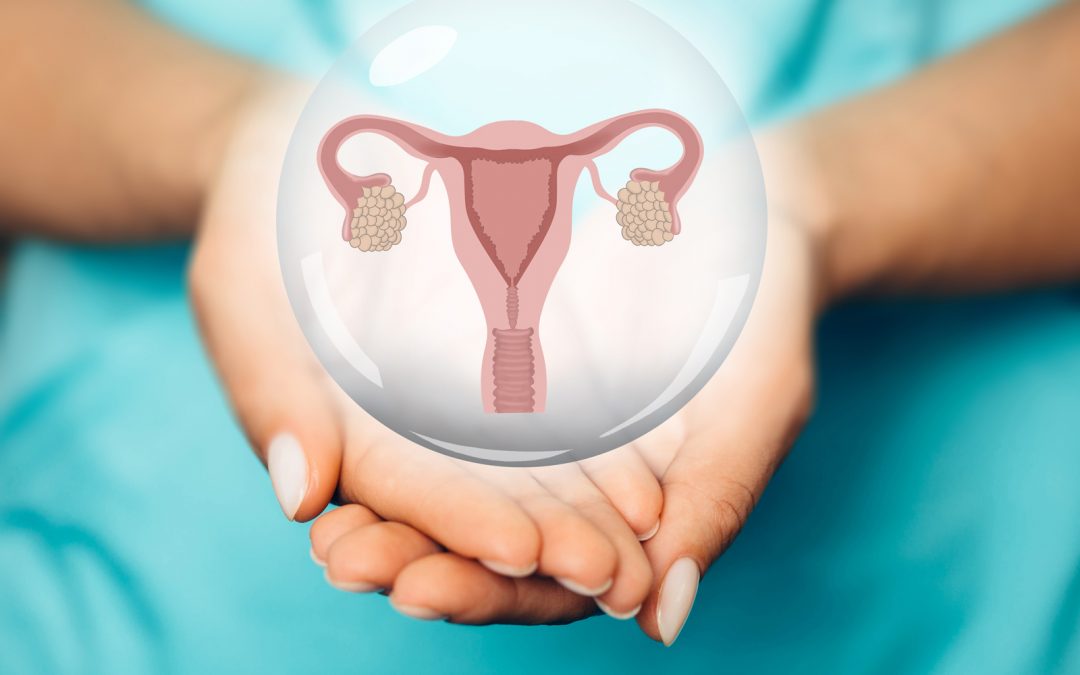An Inside Look on Ovarian Stimulation and Egg Retrievals Brought to You By a Donor Coordinator